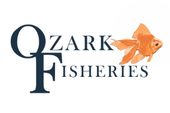 Ozark Fisheries Logo navy with orange goldfish