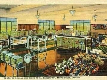 Grassyfork Building postcard inside the old grassyfork building showroom