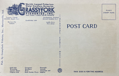 Back of Grassyfork Fisheries postcard 