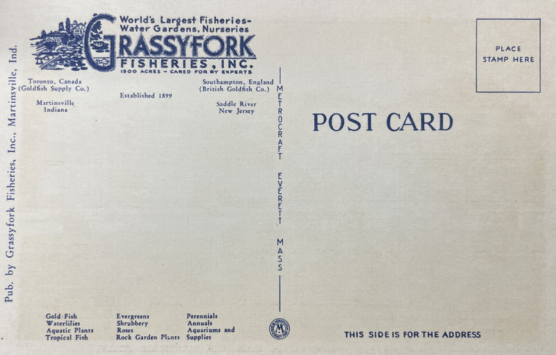 Back of Grassyfork Fisheries postcard 