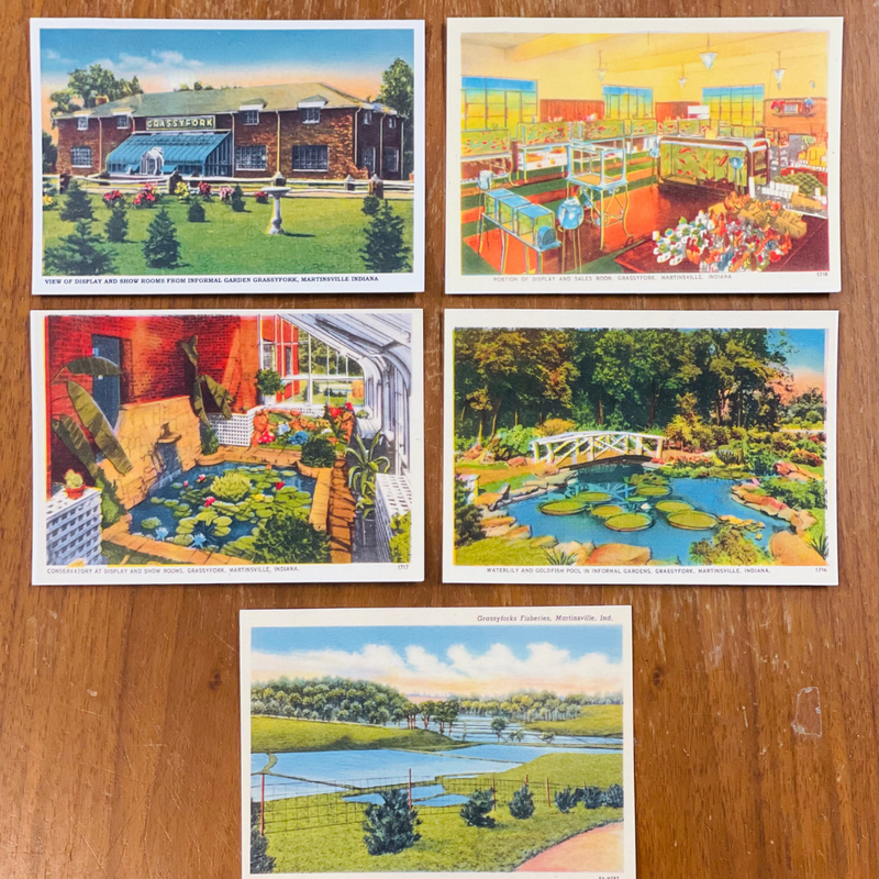Grassyfork Fisheries Vintage Postcard Set